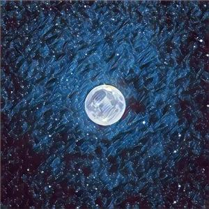 我想看毛片儿毛片儿毛片儿毛片儿毛片
